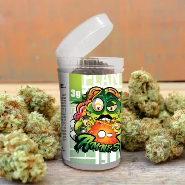 flores cbd amnesia 3g