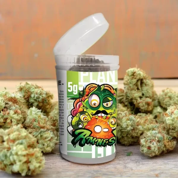 amnesia flores cbd 5g