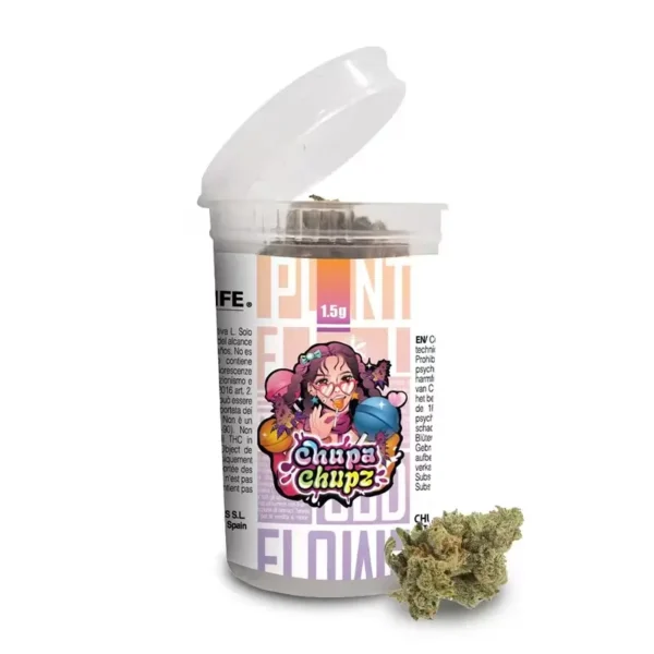 flores cbd chupa chupz bud 1,5g