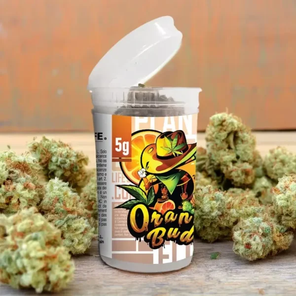 flores cbd orange 5g