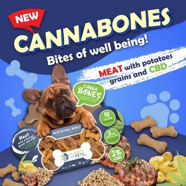 Pet petisco com 3% CBD para melhorar a vida do seu animal 10un