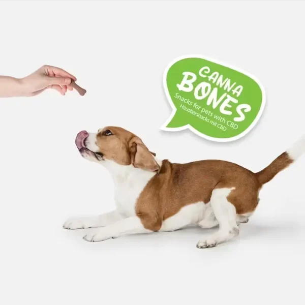 Pet petisco com CBD para melhorar a vida do seu animal