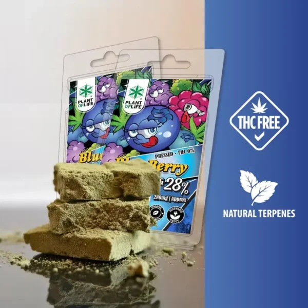 Pollen com extrato de CBG 28% - blueberry