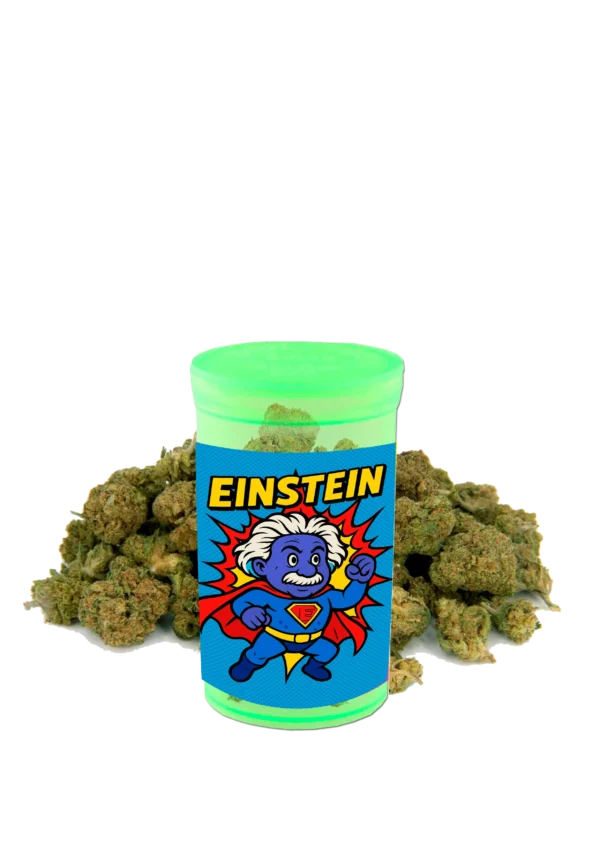 "EINSTEIN - onde a ciência encontra a natureza perfeita"