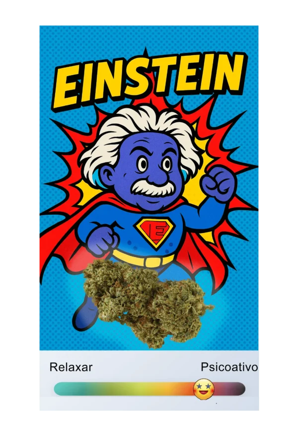 "EINSTEIN - onde a ciência encontra a natureza perfeita"