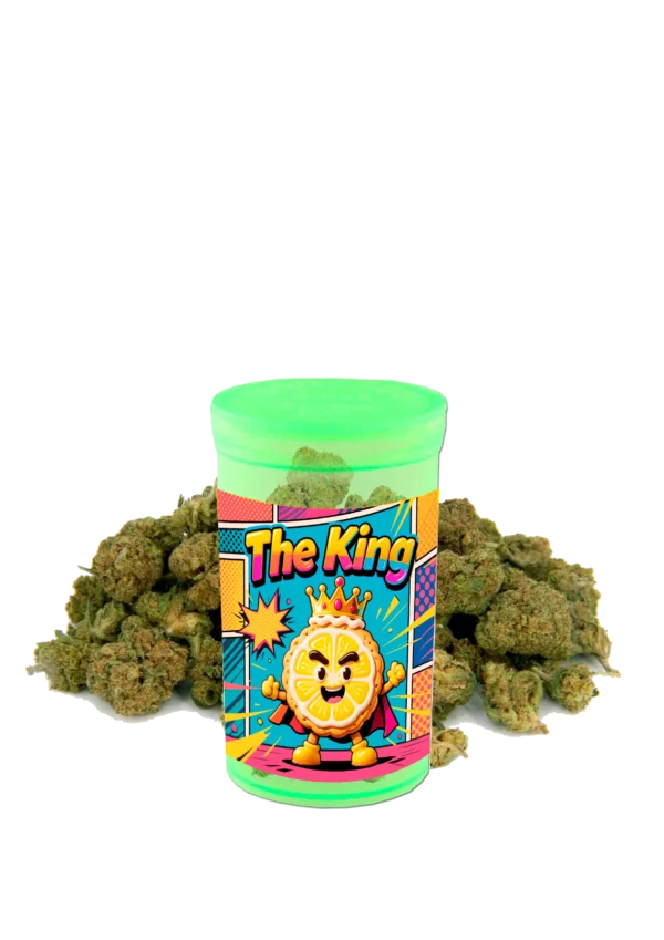 THE KING - onde a genética encontra a realeza