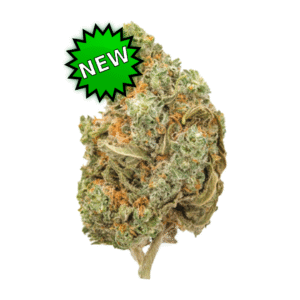 Amnesia Prime CBD: A Flor de Qualidade Superior que a Comunidade Aprova!
