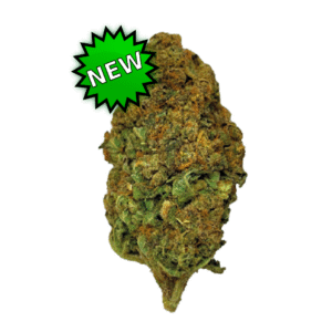 Buddha Kuch Primio CBD: A Serenidade Premium que Transforma Seus Momentos de Descanso
