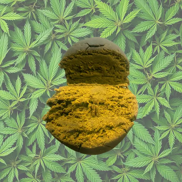 Ice o Lator CBD + 30% THCX 2.0