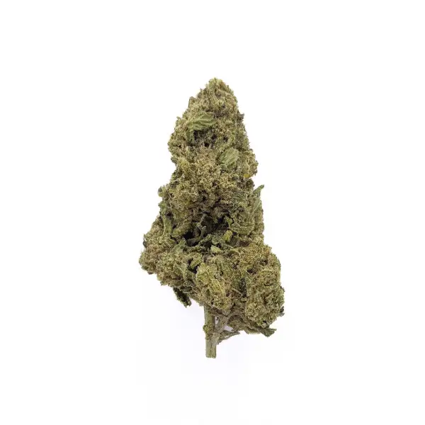 ECLIPSE Flores de CBD 3 ECLIPSE Flores de CBD - Image 3