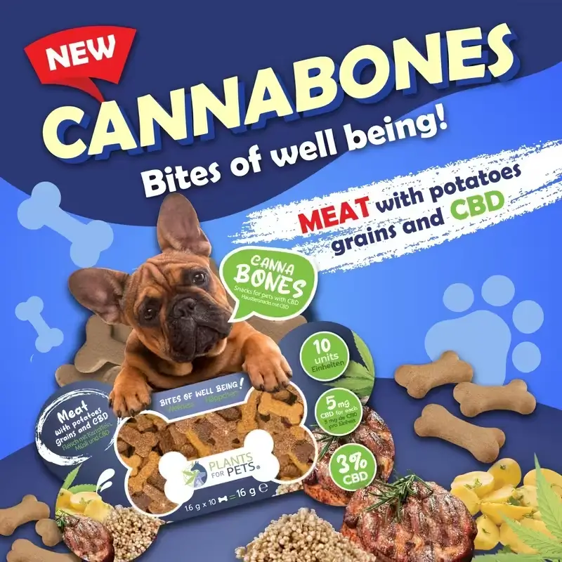 Petiscos para animais com 3% DE CBD 2 Petiscos para animais com 3% DE CBD - Image 2