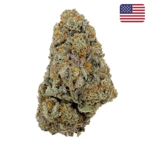 Gelato ButterCream CBD Big Bud Interior