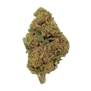 Watermelon-CBD-Bud-Mix-Green-House-1.webp