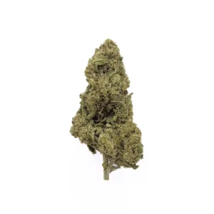 White Widow CBDV